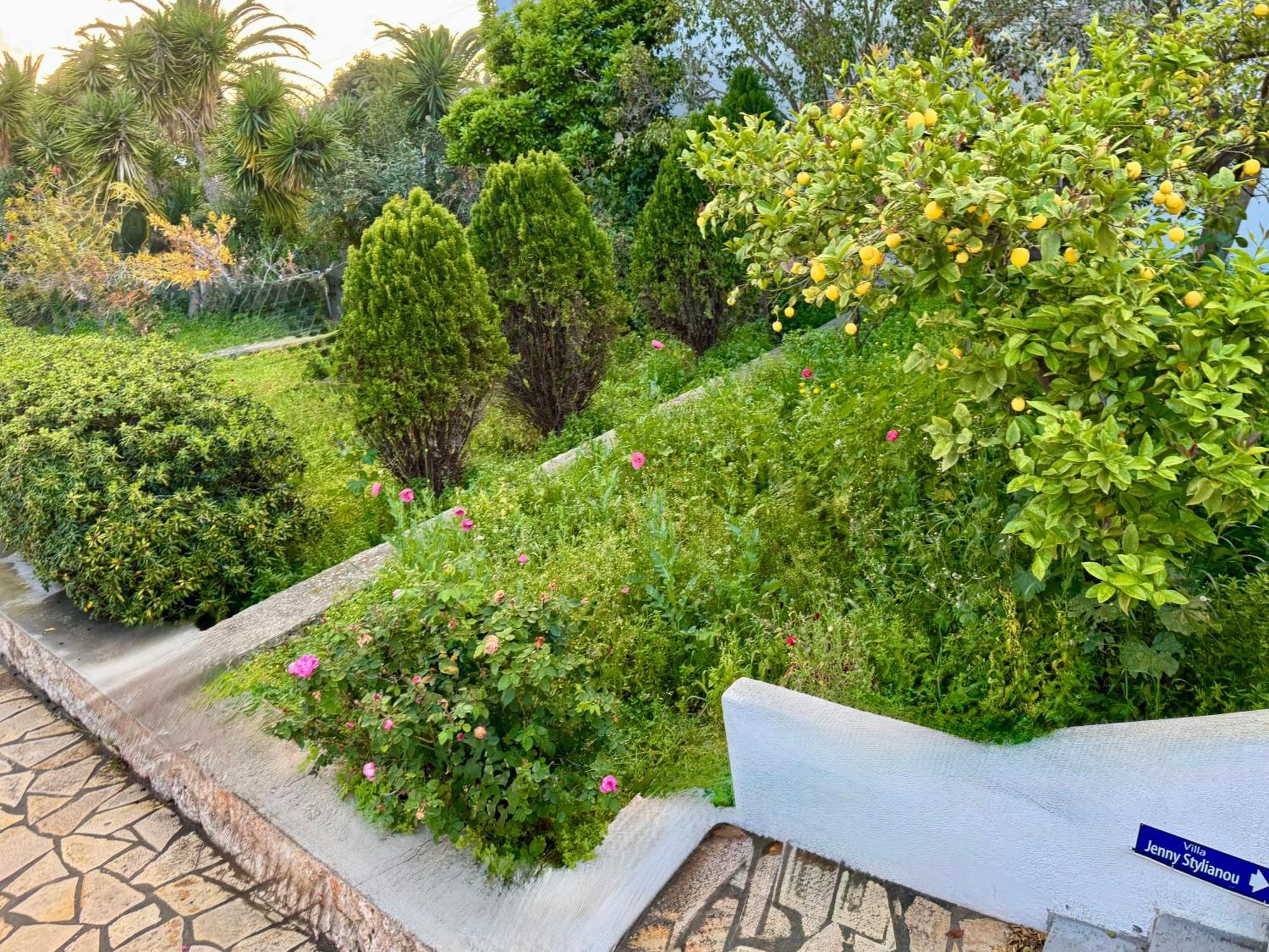 Villa Jenny Stylianou Спетсес Экстерьер фото
